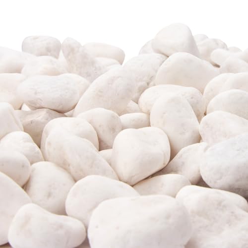 Image of 18 Pounds Decorative Pebbles, White Stones, White River Rock, Natural Aquarium Gravel, Garden Decor Rocks