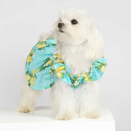 image for Fitwarm Lemon Dog Dress, Dog Clothes for Small Dogs Girl, Pet Cat Appa