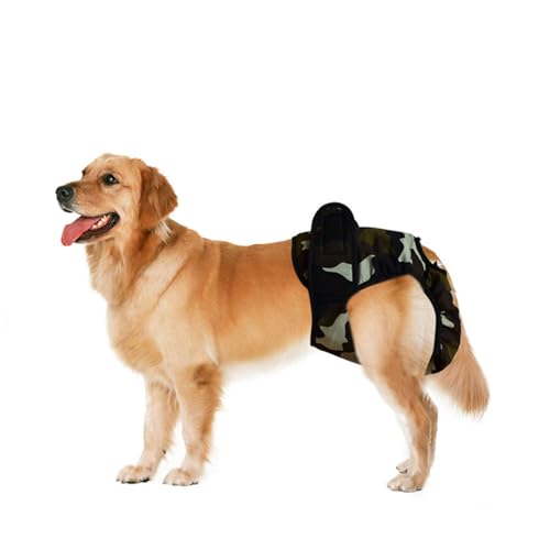 ���p�q���V���[�c ��^���p �T�c�}���u���h�[���Ή� �����p�p���c �􂦂鐶���p�p���c�i�������p�j ���p�i �T�c�}���u���h�[���Ή�(Green,S)