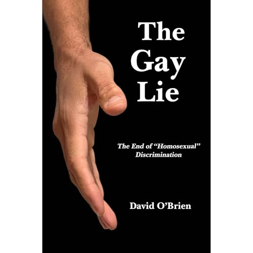 The Gay Lie Audiolibro Por David O'Brien arte de portada