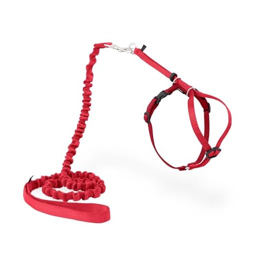 PetSafe Come With Me Kitty Harness and Bungee Leash, Harness for Cats, Medium, Red/Cranberry, Model:CWMK-M-RED