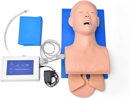 Simulatore di addestramento del manichino di intubazione, strumento educativo medico adulto del PVC per gli operatori sanitari