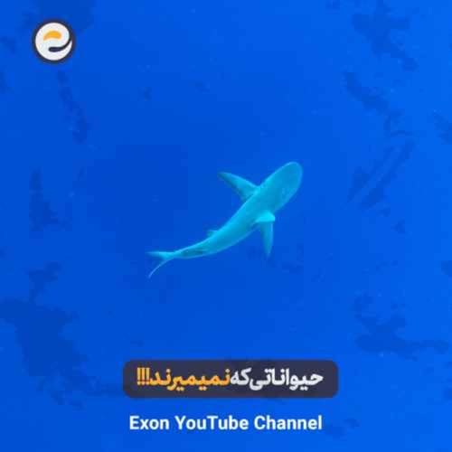 ۵ حیوانی که قوانین مرگ را زیر پا گذاشتند