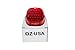 OZ-USA FL Red LED Tail Brake Light Compatible with Harley Touring Electra FLTR Road King Glide FLHTCU I