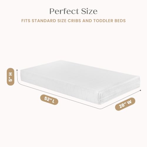 Image of Delta Children 3D Toddler Bed & Mattress, Spidey and His Amazing Friends | 2-Piece Toddler Furniture Set Includes Toddler Bed with Guardrails + Waterproof Toddler Mattress, GREENGUARD Gold Certified