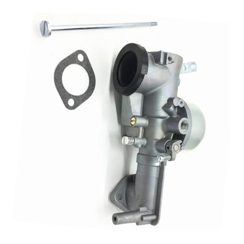 Carburateur Br St 390811 491590 de moteur En 191700 192700 193700