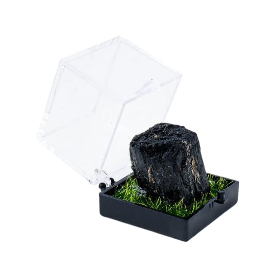 Namzi 2 Pieces of Black Natural Crystal raw Stone Mining Label Box Ornament, Crystal raw Stone Children's Mining Science Popularization Teaching Gift Ornament
