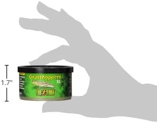 Miniatura 4 de Exo Terra Alimentos especiales para reptiles, conservas XL saltamontes para reptiles, PT1952