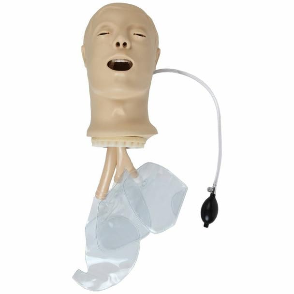 The Anatomy Lab Airway Management Trainer