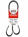 Bando 8PK1880 Serpentine Belt 740K8, 8-Ribs 74.0"L, 1MHZ2