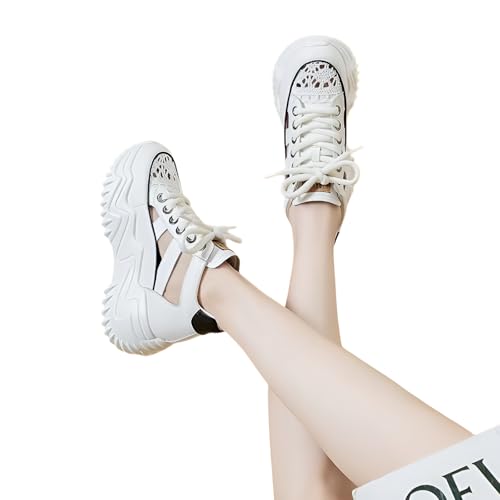 [Snughom] T_ bVV[Y Ă̂ ʋC yʃNbV nbgfUC oɓK p ubN