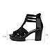 Womens Chunky High Heel Fish Mouth Gladiator Sandals Back Zipper Fashion Comfort Cutout Open Toe Non-slip Rome High Heels Sandals for Beach Dressy Party Dress (Black, Adult, Women, 9, Numeric, US Footwear Size System, Medium)
