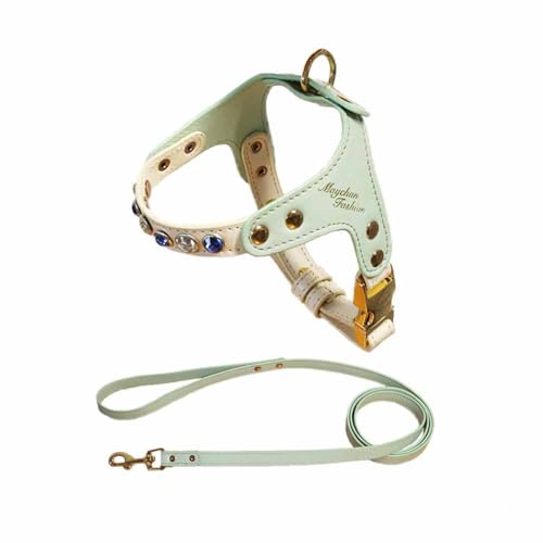 feiling Pettorina in pelle PU per cani di piccola taglia con guinzaglio per cani da 1,2 m, pettorina regolabile (verde, S)