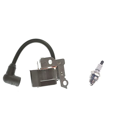 PARTSRUN Zündspule Modul + Zündkerze für Tecumseh 611056 611291 Rasen- und Gartengerätemotoren, ZF907-XHHS Cover
