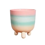 Photo Gallery sass & belle vaso con gambe lunghe pastello sfumato grande Photo Gallery sass & belle vaso con gambe lunghe pastello sfumato grande