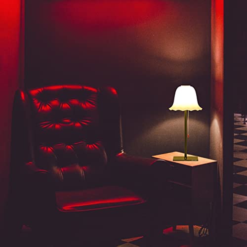 Madckdedrt Rechargeable Table Lamp,Led Light,3 Gear Dimming,Petal Glass Lamp Shade,Aluminum Base,Can Be Used For Living Room, Dining Table,Bedroom Lighting (Black) #TOP3