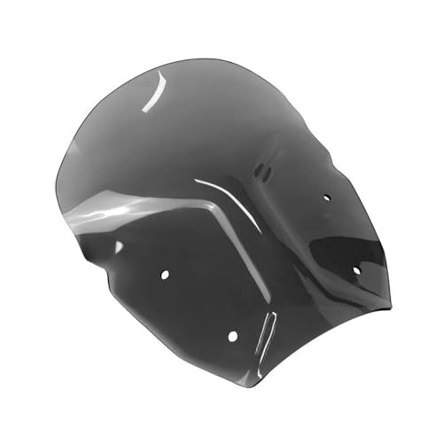 Extension pare-brise moto pour R 1300 GS déflecteur de vent noir