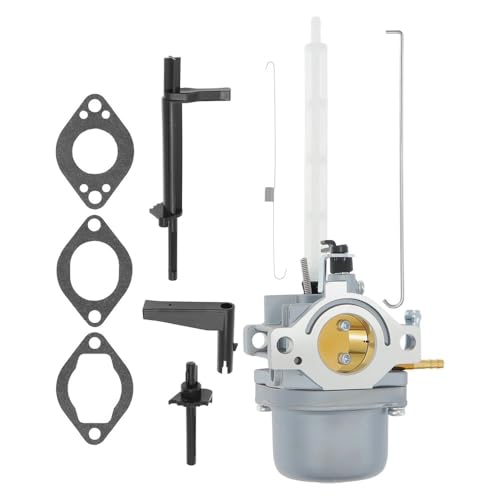 Carburateur pour BS 794593 résout démarrage difficile moteur 20M114 696737