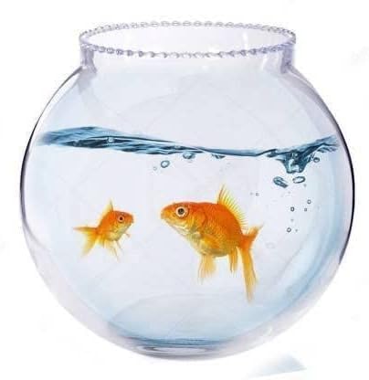 CAS 6.5+L Glass Fish Bowl (10 Inches) (B0BB19LLLR) Amazon Price History, Amazon Price Tracker