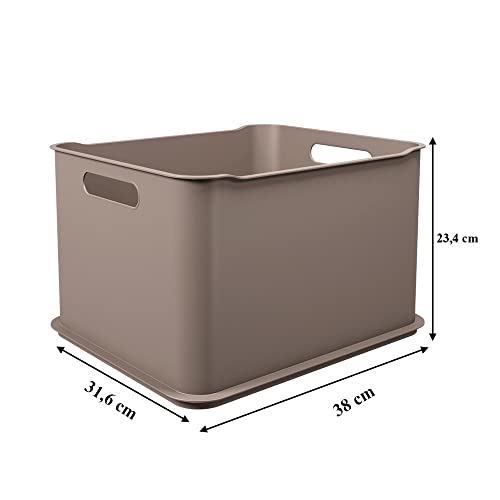 Kit Cesta Fit, 3 Peças, Warm Gray, Coza