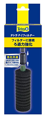 eg (Tetra) eg P-ItB^[ X|WtB^[ tɂ₳