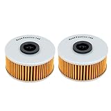Road Passion 1L9-13440-91 1L9134409100 1L9-13441-11 1L9134411100 Oil Filter Compatible with Yamaha