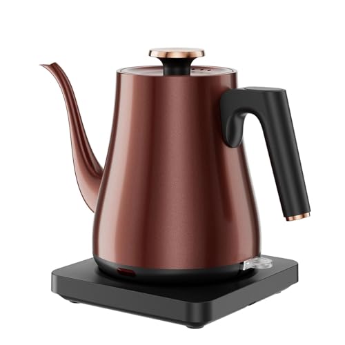 Hervidor Eléctrico Cuello de Cisne 1.0L, 1000W Hervido Rápido 4 Minutos, Tetera Acero Inoxidable,...