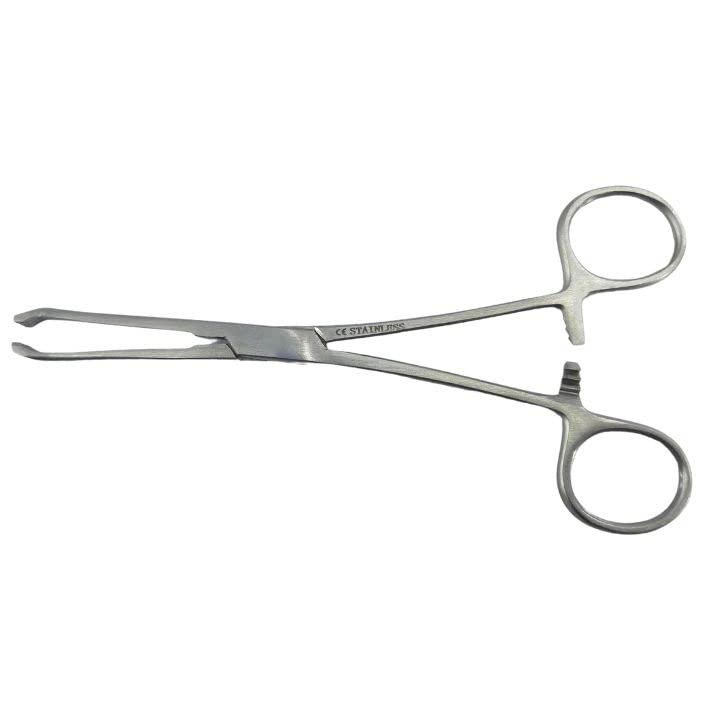 Image of Allis Tissue Holding Forceps 6 Inch | Stainless Steel Surgical Instrument for Tissue Clamping, Medical, Dental & Laboratory Use