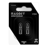Magnet