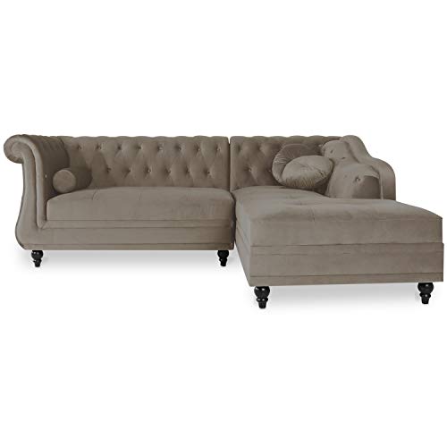 INTENSE DECO Canapé d'angle Droit Empire Velours Taupe Style Chesterfield