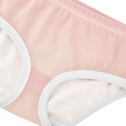 Joisal Blush Pink Blanched Almond Gradient Panties for Girl Girls Underwear Toddler Cotton Designer Briefs Undies Kids 2t4
