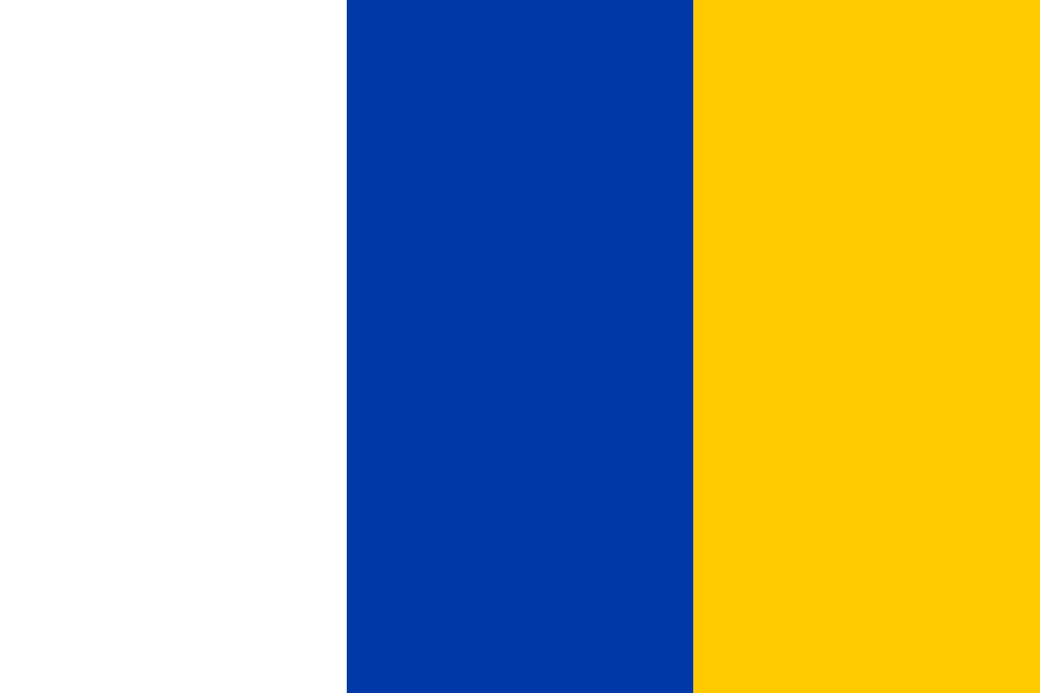 Drapeau Doetinchem XL pour mât : pavillon officiel municipalité hollandaise