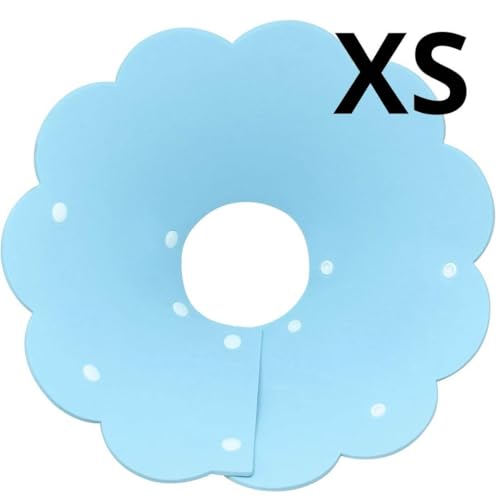 Alien Pet GUxXJ[ Lp p \tg E֗ rߖh~