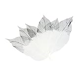 Emballage complet : comprend 50 feuilles squelettes dans des tons chauds de couleur café, offrant une quantité suffisante pour plusieurs projets d'artisanat et designs.