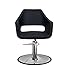Salon Styling Chair Richardson BLK for Beauty Salon Furniture