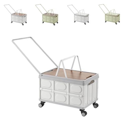 ZekonoL[J[g VbsOJ[g sNjbN ܂ݎ LX^[t y É  Lvp AEghAp ReiL[  RpNg Wt яoe @\ (DF̑傫ȎԗցAؐ̃Jo[)