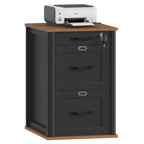 RALGEND 3 Drawer File Cabinet with Lock, Wooden Farmhouse Filing Cabinet with Storage Fits Letter and A4 Size, Vertical Printer Stand for Home Office, Rustic Brown and Black