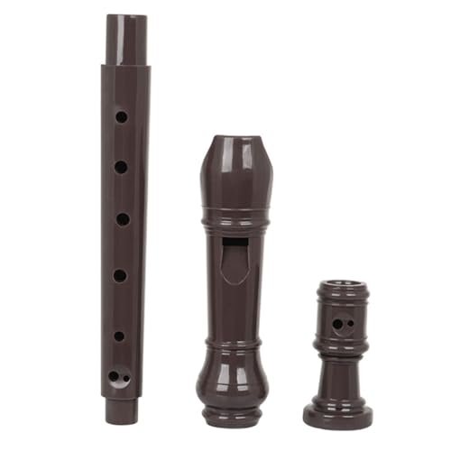 OFFSCH Soprano Recorder Durable Flute for Beginners and Students for Music Education and Skill Development Traditional Instrument for All Ages