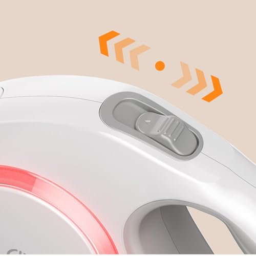 Laisse rétractable à LED pour chien avec éclairage intégré et frein automatique