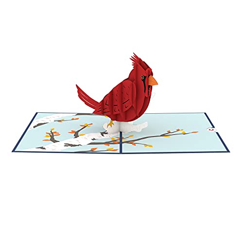 Lovepop Cardinal Pop Up Card, 5X7-3D Greeting Card, Animal Card For Every Occasion - Birthday, Sympathy, Anniversary, Thinking Of You #TOP1
