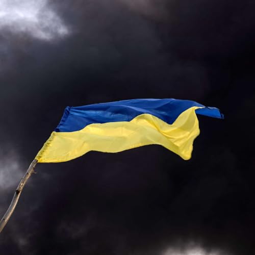 Page de couverture de Can Ukraine survive?