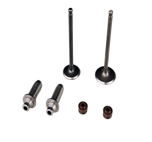 Joint d'huile de guidage de valve moto WH125T-5 kit étanchéité moteur SDH125T-27