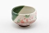 Authentic Japanese Traditional Tea Ceremony Matcha Bowl Chawan Textured Glaze Floral Design Handcrafted in Japan (Momiji)
