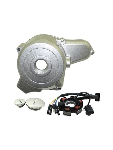 Protector estator motor 6 bobinas para rutas de enduro en motos de 125