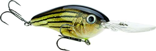 Promodel Crankbait S6XD Barfish