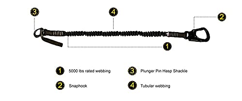Image of Fusion Fusion