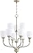 Quorum 6811-9-60 Transitional Nine Light Chandelier from Richmond Collection in Pewter, Nickel, Silver Finish,