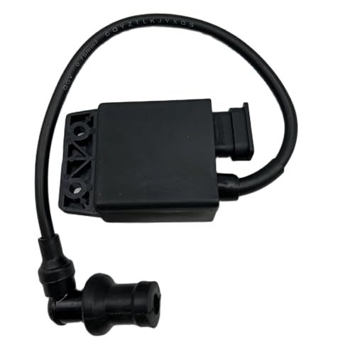 Nueva Caja de Encendido CDI Compatible con Piaggio 50cc 4-Takt Fly Liberty Zip para Vespa ET4 Repuestos para Motocicletas