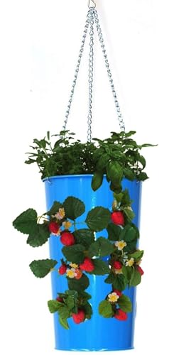 Houston International 8398E B 7-Inch Steel Hanging Planter, Blue