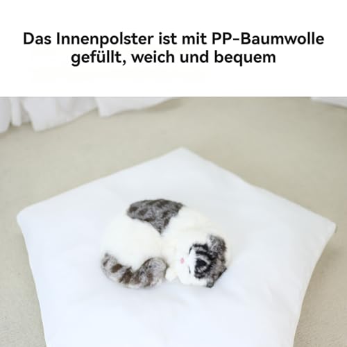 ShakubTipi Zelt für Haustiere,Katzen und Hunde Haustierzelte mit Kissen,Katzenzelt Hundezelt Abnehmbar und Waschbar,Hunde Tipi Katzentipi,Katzenhaus Indoor,Hundehaus für drinnen,70x50x60cm